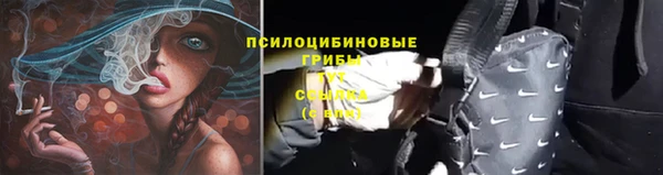 альфа пвп Козельск