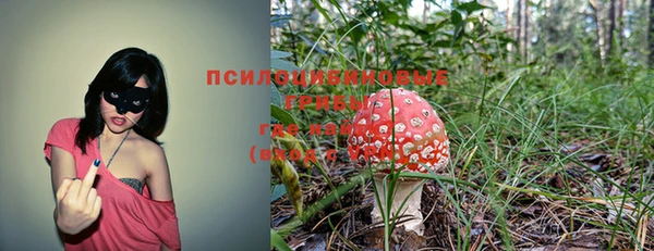 MDMA Premium VHQ Козловка